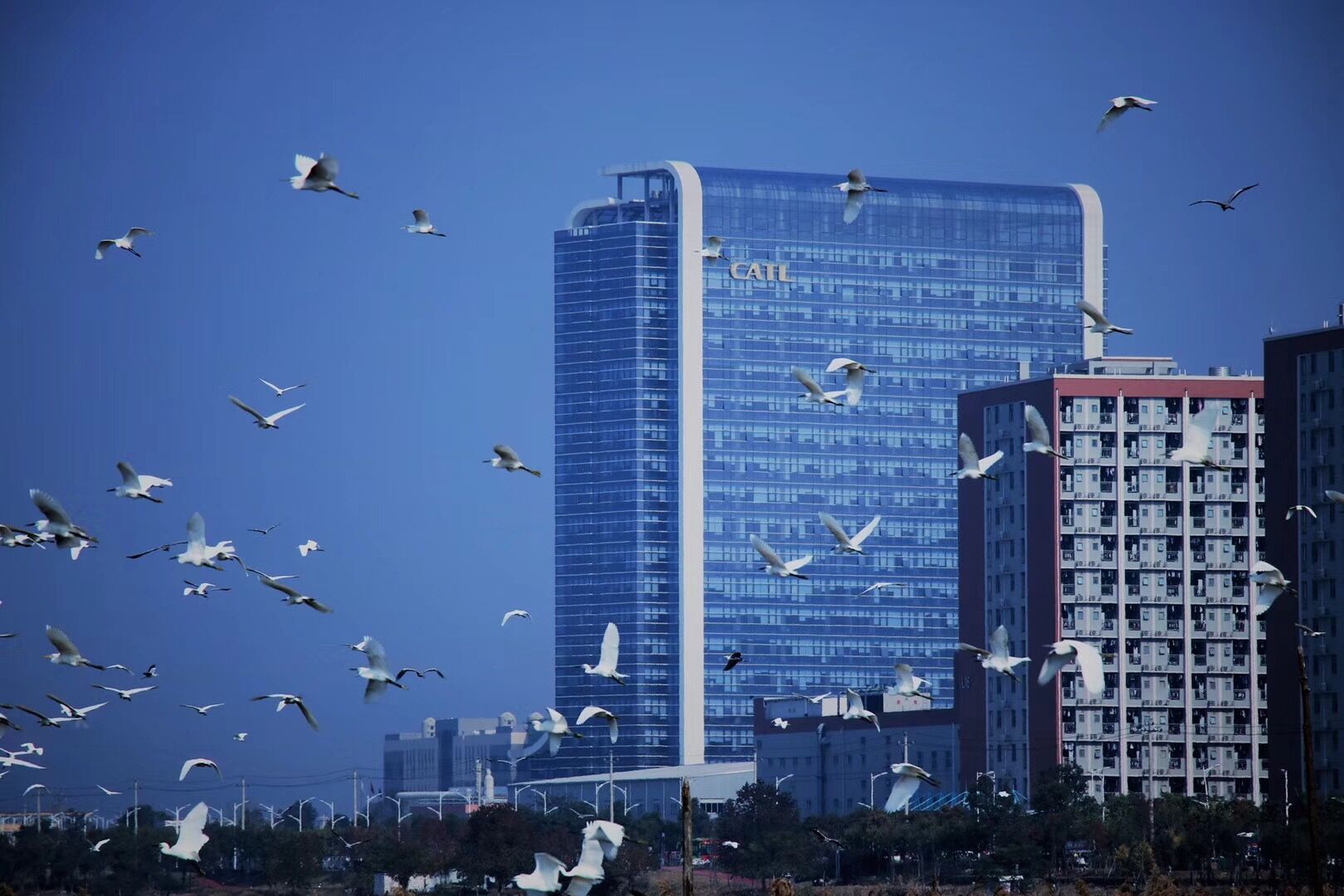 宁德新能源工资环境